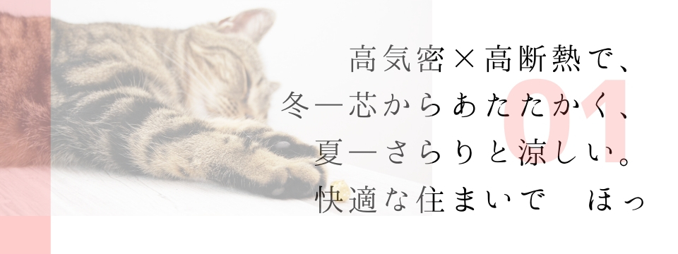 wp-image-6737