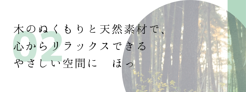 wp-image-6738