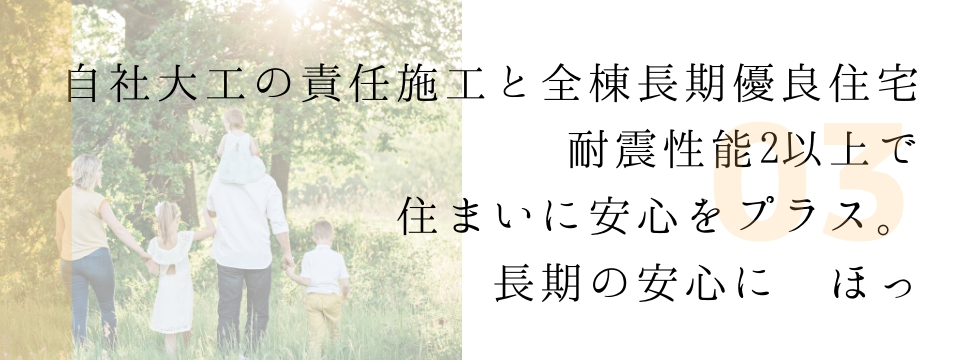 wp-image-6739